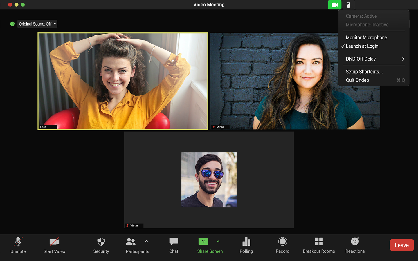 DNDeo working during video call